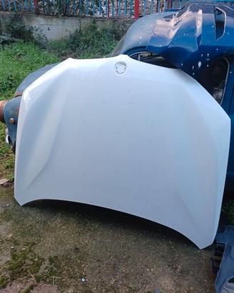 Cofano ant. Bmw X1 2016