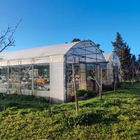 Serra agricola 420 mq completa di impianto elettri