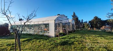 Serra agricola 420 mq completa di impianto elettri