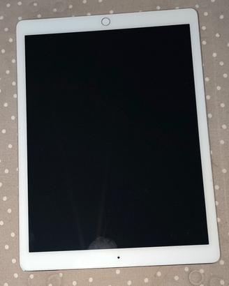 iPad pro