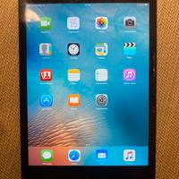 Apple Ipad Mini