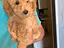 Immagine 6