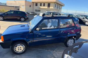 Fiat Panda 1100 i.e. cat College