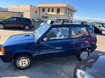 Fiat Panda 1100 i.e. cat College