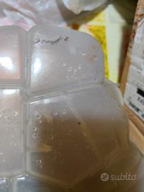 vaschetta Opel Zafira 1,6 radiatore 