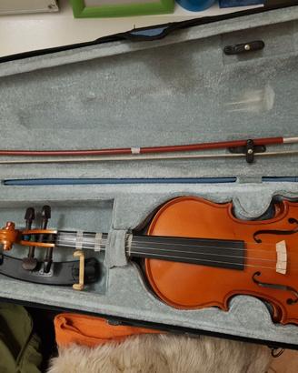 violino