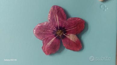 🌸 Spilla artigianale con vero ciclamino 🌸