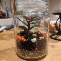 Terrarium