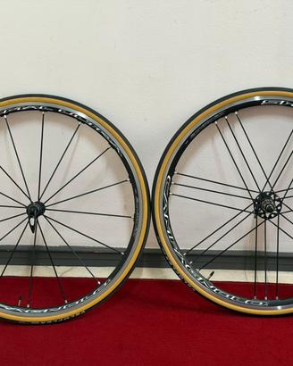 campagnolo shamal