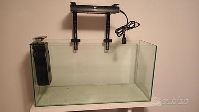 acquario