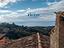 Immagine 7