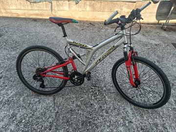 Bicicletta