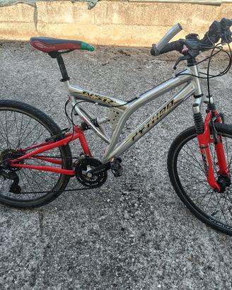 Bicicletta