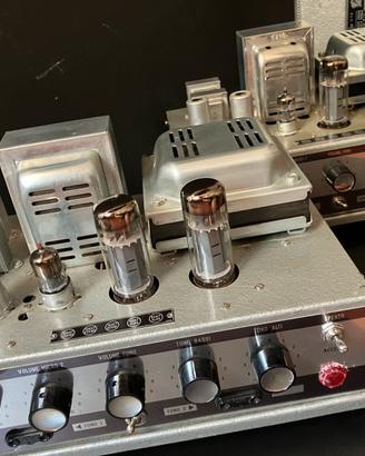 Amplificatori a valvole geloso