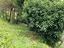 Immagine 15