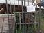 Immagine 6