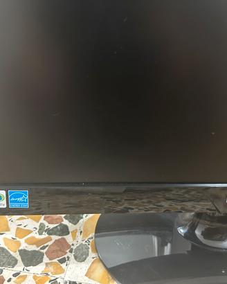 Monitor pc 22 pollici