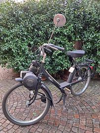 Solex