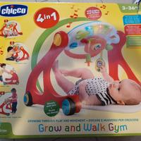 primi passi chicco 