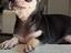 Immagine 4