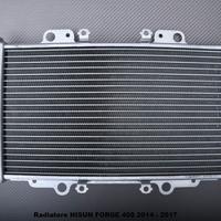 Radiatore HISUN FORGE 400 2014 - 2017