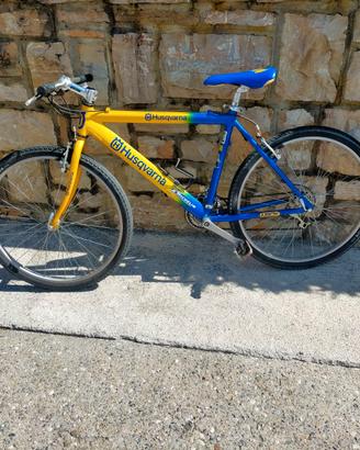 BICICLETTA DA 26"