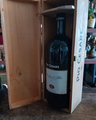 Pio Cesare Barbera 2006