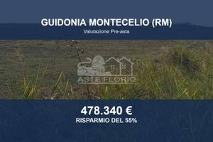 Immobile in asta di 281311 m² a Guidonia Monteceli