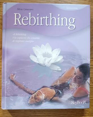 rebirthing - silvia canevaro