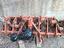 Immagine 6