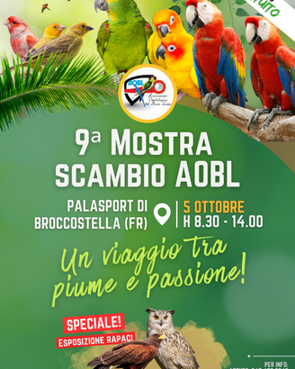 Disponibili canarini