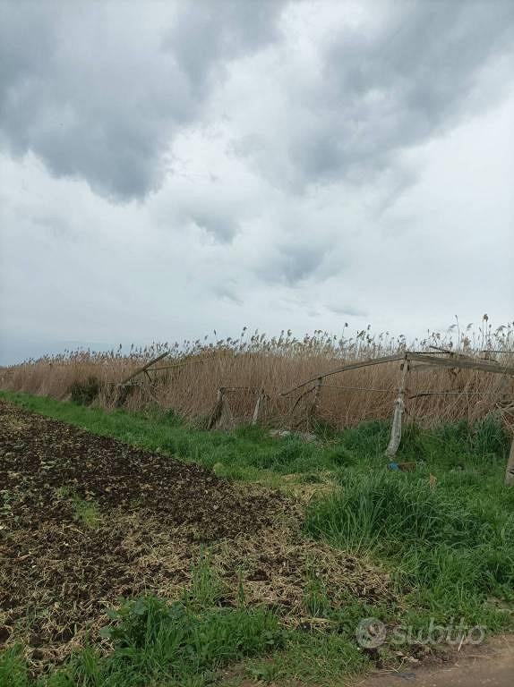 Terreno di 5860 m² a Terracina - Vista 4