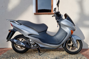 Suzuki Epicuro 150