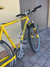 Bicicletta  mountan bike