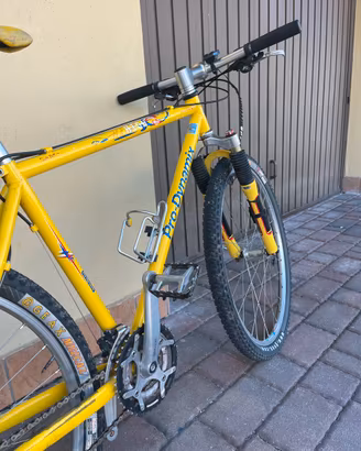 Bicicletta  mountan bike