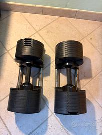 MANUBRI REGOLABILI KINGSGYM 2.5-42.5