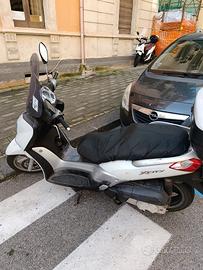 xcity 250