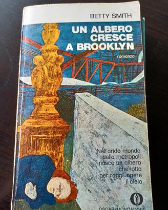 Un albero cresce a Brooklyn di Betty Smith