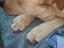 Immagine 3