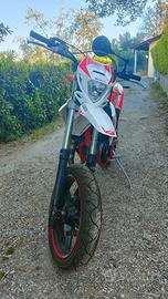Beta rr 50 2025
