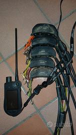 COLLARI SATELLITARI TEK 2