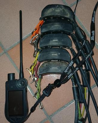 COLLARI SATELLITARI TEK 2