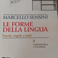 Le forme della lingua-Parole, regole e testi 1+2
