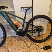 Bici elettrica a pedalata assistita mtb in garanzi