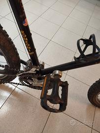 MTB bicicletta