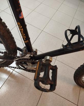 MTB bicicletta