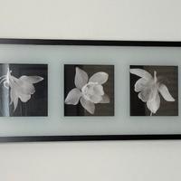 Quadro IKEA fiori, doppia profondità