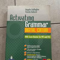 Libro activating grammar