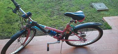 Bici che adesso non la usano più. Ruota 24