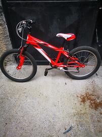 MTB bambino 